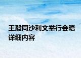 王毅同沙利文舉行會晤詳細內容