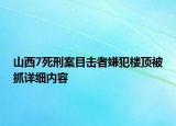 山西7死刑案目擊者嫌犯樓頂被抓詳細(xì)內(nèi)容