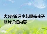 大S起訴汪小菲曝光孩子照片詳細內(nèi)容