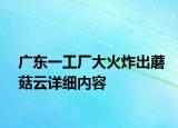 廣東一工廠大火炸出蘑菇云詳細內(nèi)容