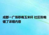 成都一廣場移栽玉米桿 社區(qū)稱栽錯(cuò)了詳細(xì)內(nèi)容