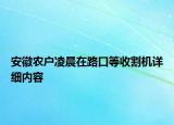 安徽農(nóng)戶凌晨在路口等收割機詳細內(nèi)容