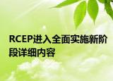 RCEP進入全面實施新階段詳細內容