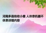 河南多縣搶收小麥 人休息機器不休息詳細內容