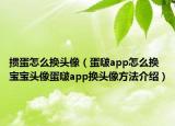 摜蛋怎么換頭像（蛋啵app怎么換寶寶頭像蛋啵app換頭像方法介紹）