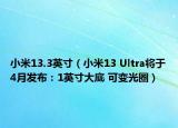 小米13.3英寸（小米13 Ultra將于4月發(fā)布：1英寸大底 可變光圈）