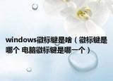 windows徽標(biāo)鍵是啥（徽標(biāo)鍵是哪個 電腦徽標(biāo)鍵是哪一個）