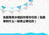 魚腥草煮水喝的作用與功效（魚腥草和什么一起煮止咳化痰）