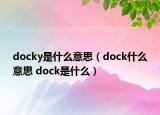 docky是什么意思（dock什么意思 dock是什么）