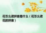 花怎么讀拼音是什么（花怎么讀 花的拼音）