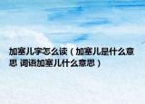 加塞兒字怎么讀（加塞兒是什么意思 詞語加塞兒什么意思）