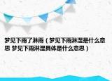 夢見下雨了淋雨（夢見下雨淋濕是什么意思 夢見下雨淋濕具體是什么意思）