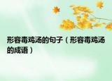 形容毒雞湯的句子（形容毒雞湯的成語(yǔ)）