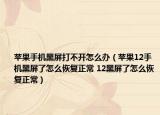 蘋果手機黑屏打不開怎么辦（蘋果12手機黑屏了怎么恢復(fù)正常 12黑屏了怎么恢復(fù)正常）