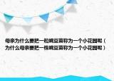 母親為什么要把一粒豌豆苗稱(chēng)為一個(gè)小花園呢（為什么母親要把一株豌豆苗稱(chēng)為一個(gè)小花園呢）