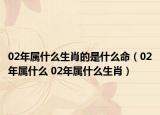 02年屬什么生肖的是什么命（02年屬什么 02年屬什么生肖）