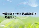 芳草長堤下一句（芳草長堤的下一句是什么）