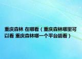 重慶森林 在哪看（重慶森林哪里可以看 重慶森林哪一個平臺能看）