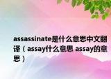 assassinate是什么意思中文翻譯（assay什么意思 assay的意思）