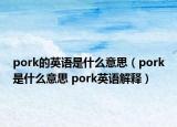 pork的英語是什么意思（pork是什么意思 pork英語解釋）