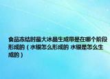 食品凍結(jié)時(shí)最大冰晶生成帶是在哪個(gè)階段形成的（水銀怎么形成的 水銀是怎么生成的）