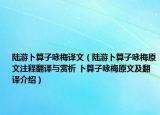 陸游卜算子詠梅譯文（陸游卜算子詠梅原文注釋翻譯與賞析 卜算子詠梅原文及翻譯介紹）