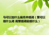 馬可以加什么偏旁并組詞（慧可以組什么詞 用慧組詞能組什么）