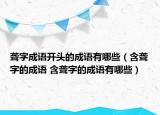 聾字成語開頭的成語有哪些（含聾字的成語 含聾字的成語有哪些）