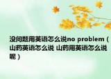 沒問題用英語怎么說no problem（山藥英語怎么說 山藥用英語怎么說呢）