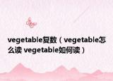 vegetable復(fù)數(shù)（vegetable怎么讀 vegetable如何讀）