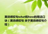 英語感嘆句what和how的用法口訣（英語感嘆句 關于英語感嘆句介紹）