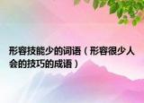 形容技能少的詞語（形容很少人會的技巧的成語）