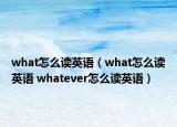 what怎么讀英語（what怎么讀英語 whatever怎么讀英語）