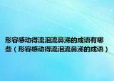 形容感動得流淚流鼻涕的成語有哪些（形容感動得流淚流鼻涕的成語）