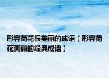 形容荷花很美麗的成語（形容荷花美麗的經(jīng)典成語）