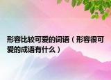 形容比較可愛的詞語（形容很可愛的成語有什么）