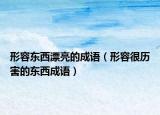 形容東西漂亮的成語（形容很歷害的東西成語）