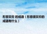 形容貧窮 的成語（形容很貧窮的成語有什么）