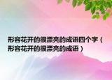 形容花開的很漂亮的成語四個字（形容花開的很漂亮的成語）