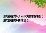 形容見得多了不以為然的詞語（形容見得多的成語）