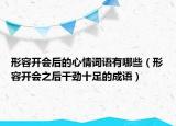 形容開會(huì)后的心情詞語有哪些（形容開會(huì)之后干勁十足的成語）