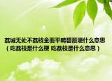 荔城無處不荔枝金覆平疇碧覆堤什么意思（吃荔枝是什么梗 吃荔枝是什么意思）