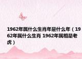 1962年屬什么生肖年是什么年（1962年屬什么生肖 1962年屬相是老虎）