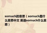 somuch的意思（somuch是什么意思中文 英語(yǔ)somuch什么意思）