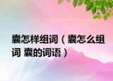 囊怎樣組詞（囊怎么組詞 囊的詞語(yǔ)）