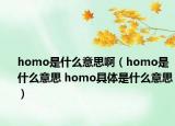 homo是什么意思啊（homo是什么意思 homo具體是什么意思）