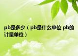 pb是多少（pb是什么單位 pb的計(jì)量單位）