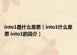 into1是什么意思（into1什么意思 into1的簡(jiǎn)介）