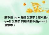 撒不溜 pipo 是什么意思（撒不溜pipo什么意思 網(wǎng)絡(luò)語(yǔ)撒不溜pipo什么意思）