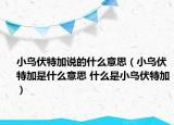 小鳥伏特加說的什么意思（小鳥伏特加是什么意思 什么是小鳥伏特加）